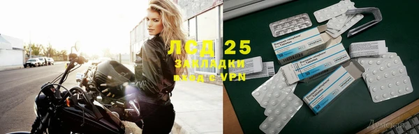 крисы Алексин