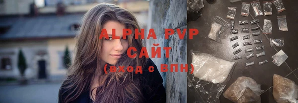 крисы Алексин