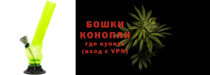 PSILOCYBIN Алексеевка