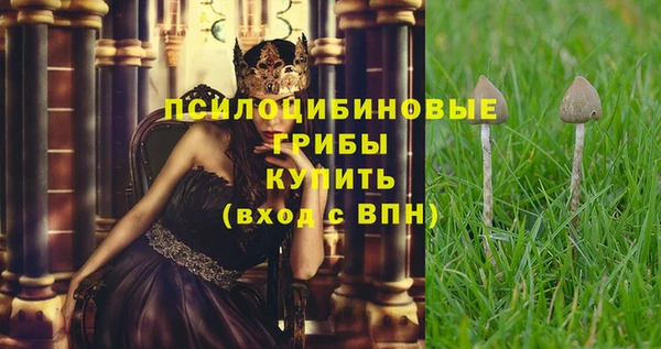 крисы Алексин