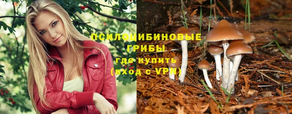 PSILOCYBIN Алексеевка
