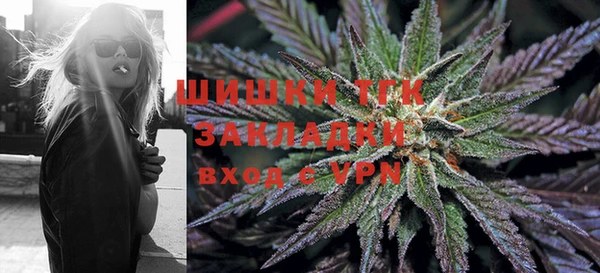 PSILOCYBIN Алексеевка