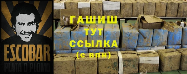 крисы Алексин