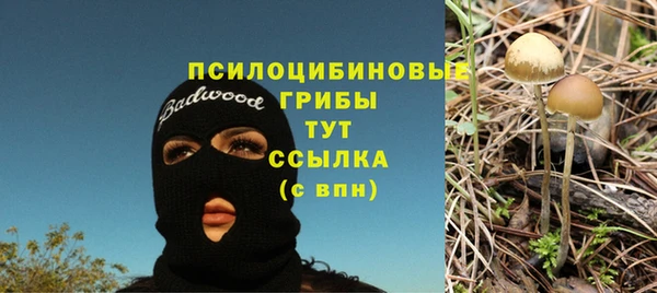 PSILOCYBIN Алексеевка
